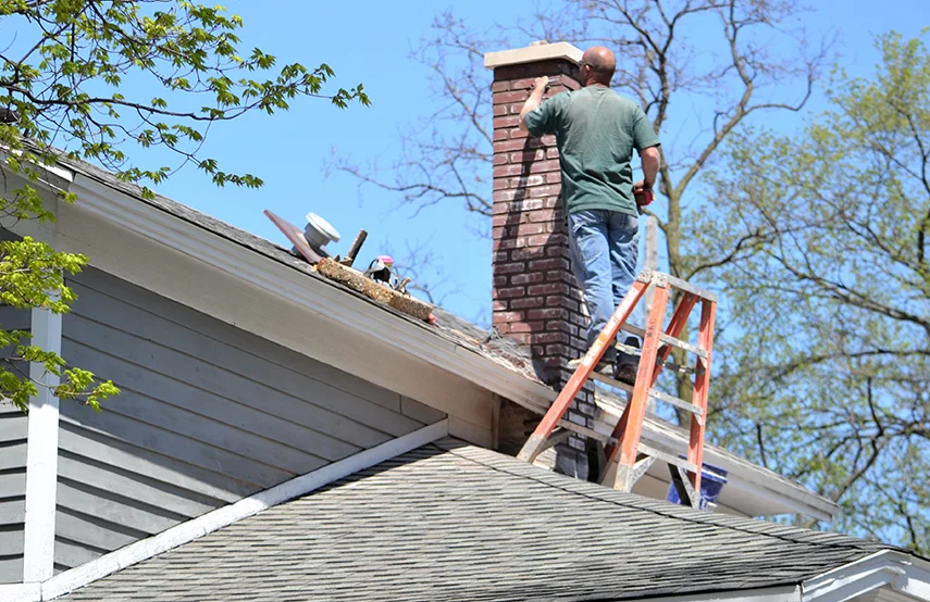 Chimney & Fireplace Inspections Services in Landover, MD